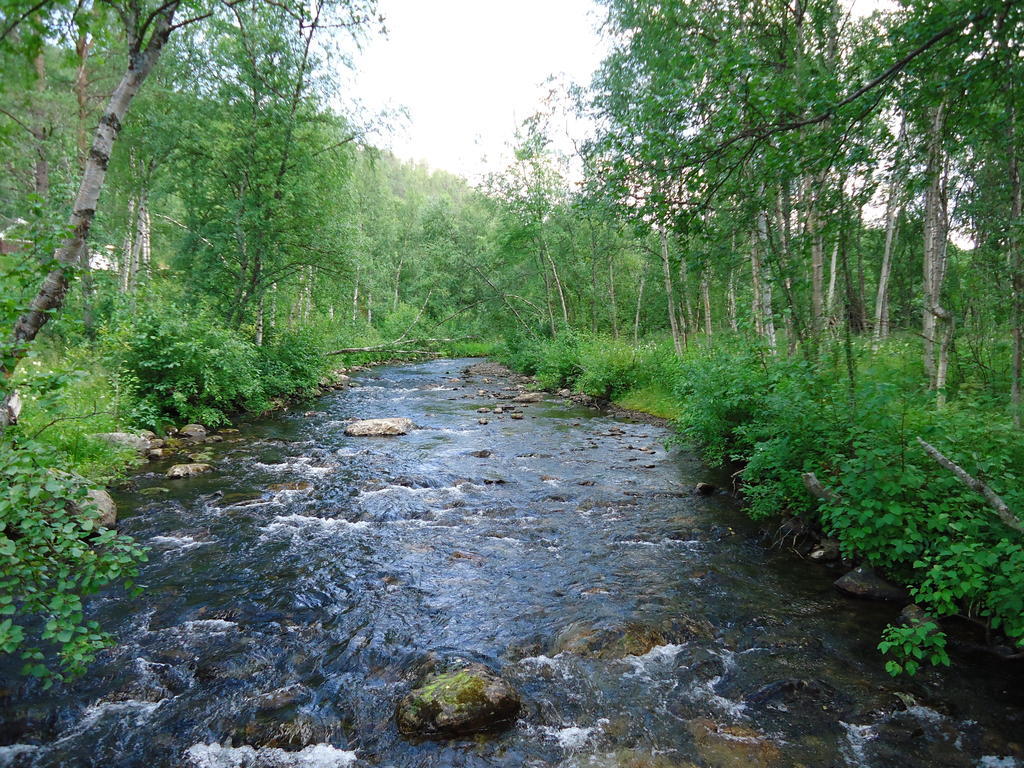 Gargia Lodge Alta Kültér fotó