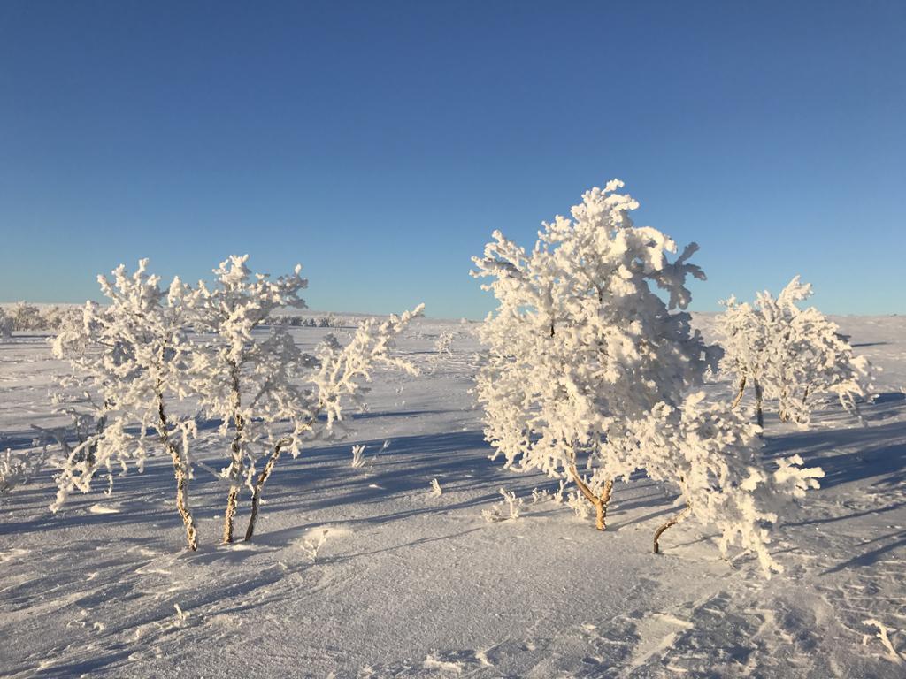 Gargia Lodge Alta Kültér fotó